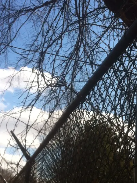 Chain Link Fence — Clean Cut Fence & Gate