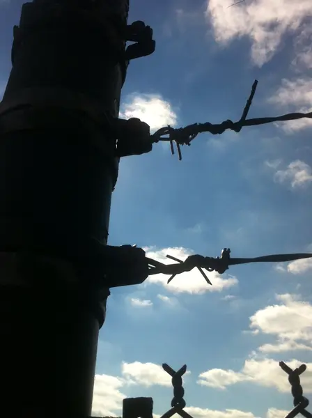 Chain Link Fence — Clean Cut Fence & Gate
