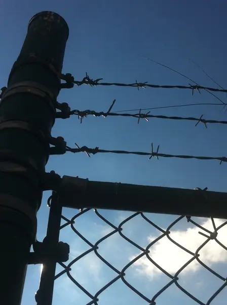 Chain Link Fence — Clean Cut Fence & Gate