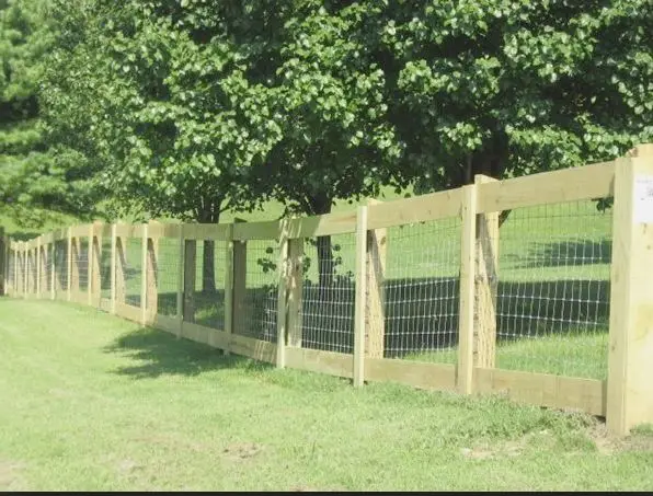 2 Rail Top Bottom Goat Wire 2