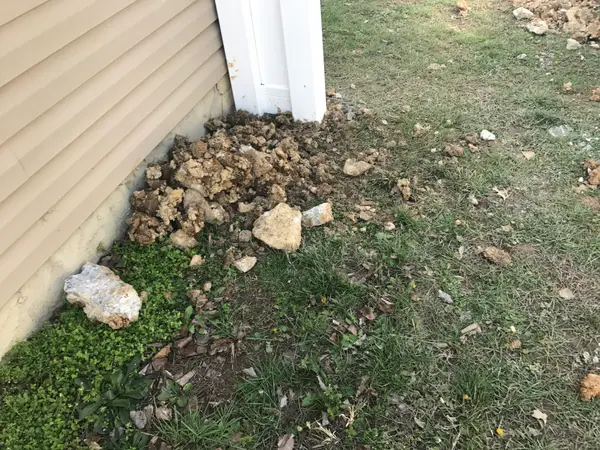 Vinyl Fence — Clean Cut Fence & Gate