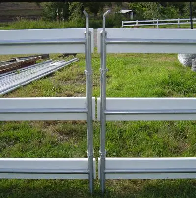 Metal Gate Frame On Vinyl