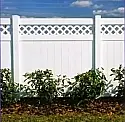 Concord Lattice